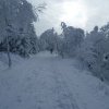 Rehefeld_02