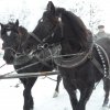Rehefeld_12