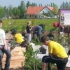 duftgarten_2