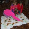 Waldjugendspiele_3