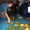 Projekt_Wald_11