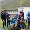 Baumpflanzung_1