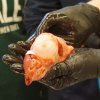 Fisch_09