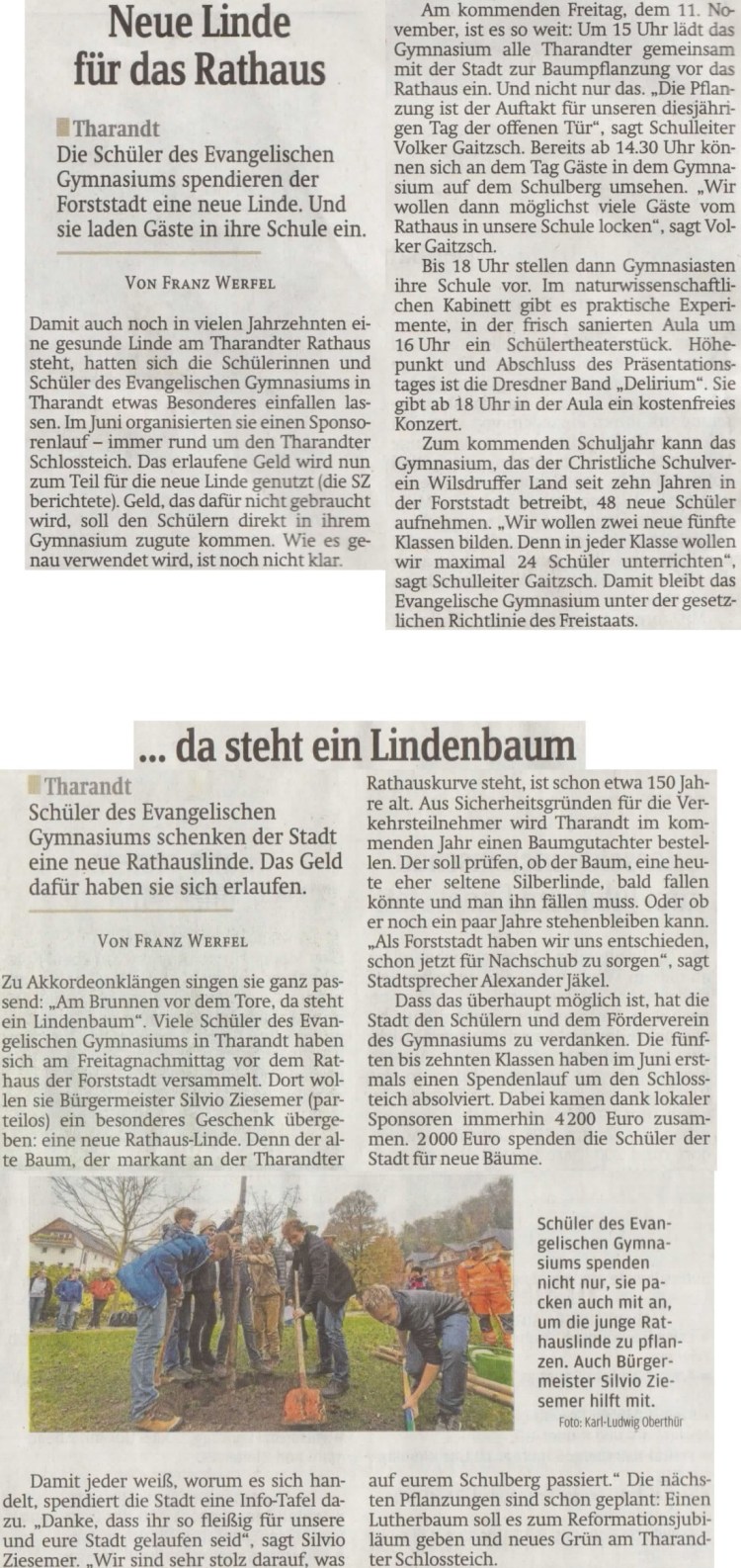 Baumpflanzung vor dem Tharandter Rathaus