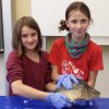 Fisch_07