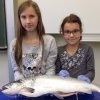 Fisch_09