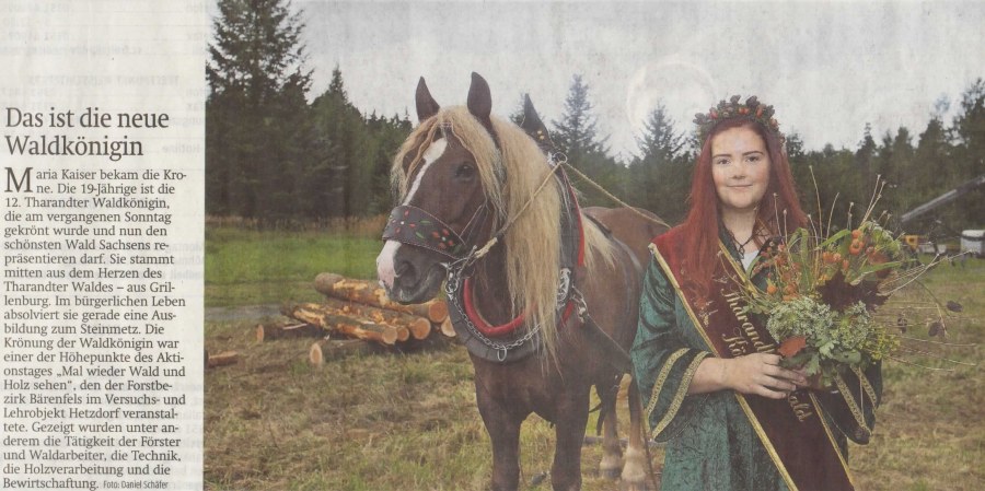 Artikel Tharandter Waldkönigin