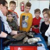Fische_04