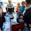 Fische_08