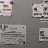 Tierheim_3