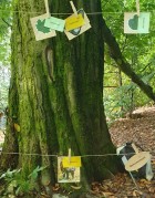 Walderlebnistag Walderlebnistag