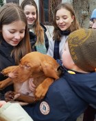 Foto von 4 Schülern mit jungem Hund Schüler mit jungem Hund